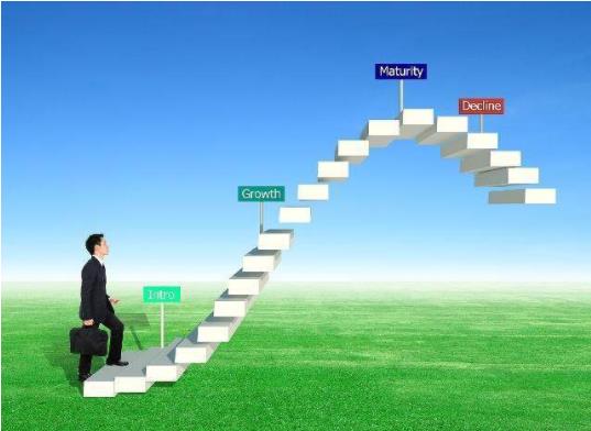 农夫山泉的极致之道 从“有点甜”到市场营销的甘泉